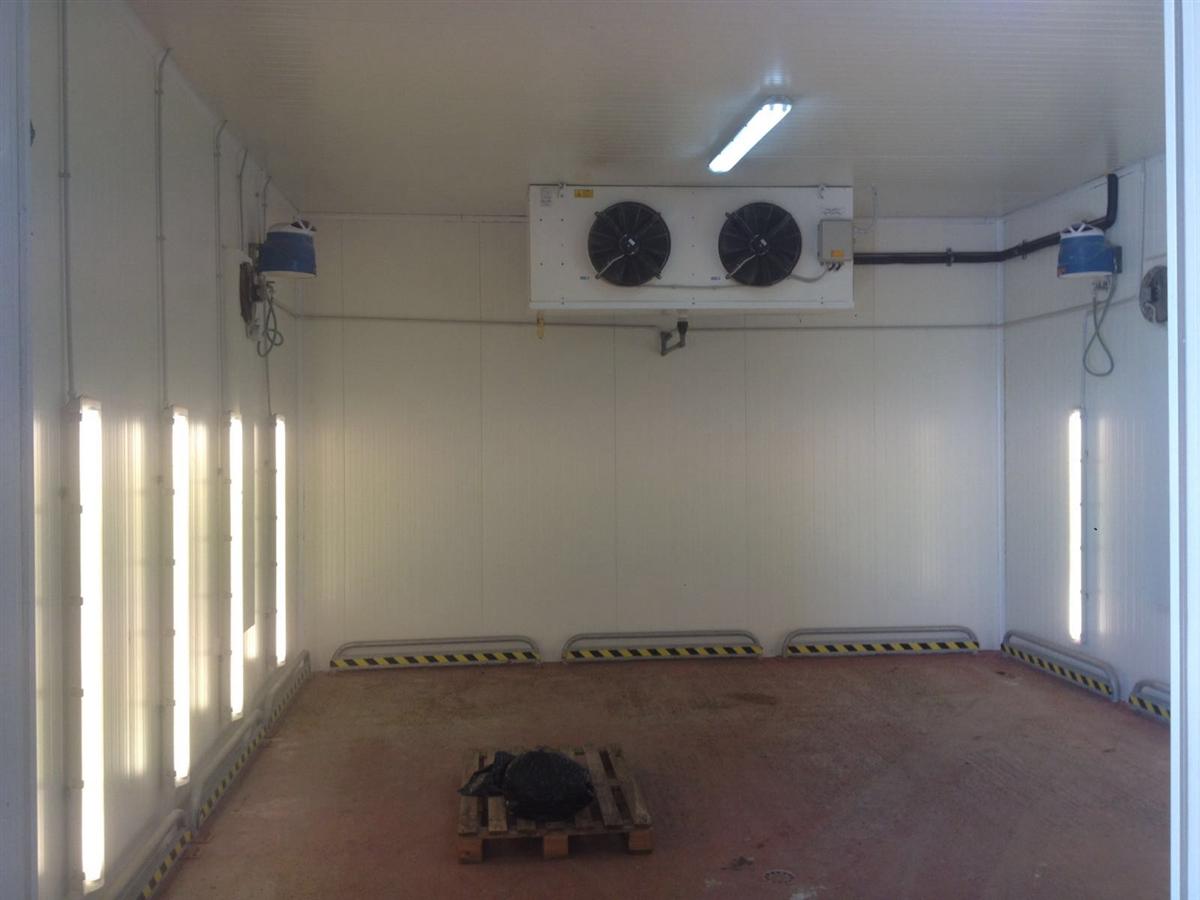 Cella di germinazione 03